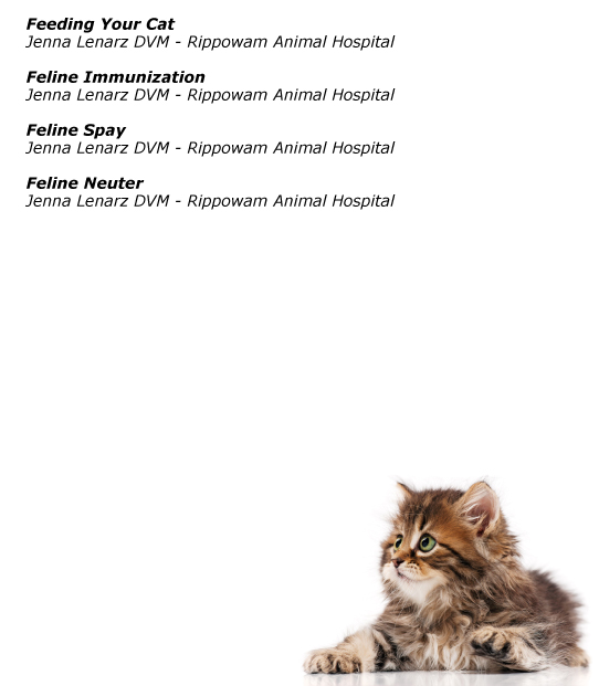 cat articles