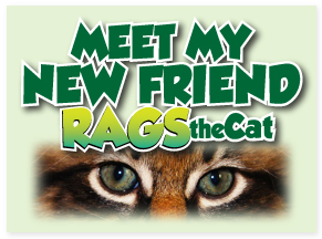 rags the cat link