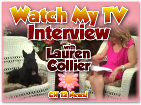 lauren interview